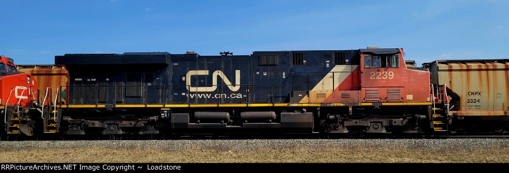 CN 2239